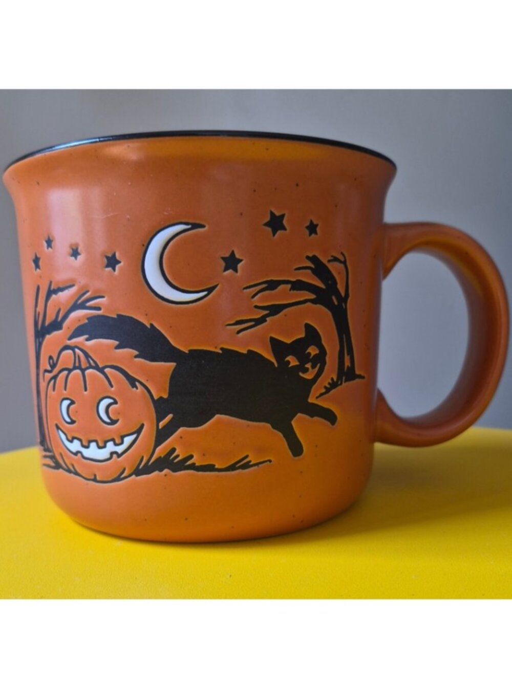 Cobwebs & Cauldrons Orange Halloween Black Cat Pumpkin Hand painted Mug